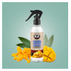 K2 CAYON 250ml Mango - osviežovač vzduchu
